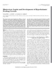 Minireview: Leptin and Development of Hypothalamic Feeding Circuits