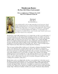 Mushroom Basics by Dan Gill, Ethno-Gastronomist
