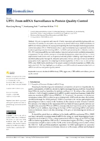UPF1: from Mrna Surveillance to Protein Quality Control