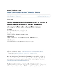 Dynamic Evolution of Selenocysteine Utilization in Bacteria: a Balance Between Selenoprotein Loss and Evolution of Selenocysteine from Redox Active Cysteine Residues