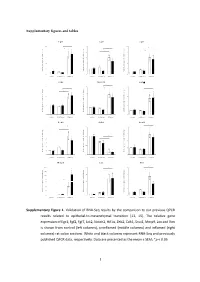 Type of the Paper (Article