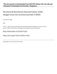 Structural & Functional Characterization of the Dengue Virus Non