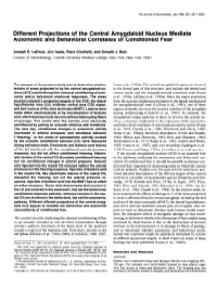 Different Projections of the Central Amygdaloid Nucleus Mediate Autonomic and Behavioral Correlates of Conditioned Fear