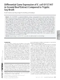 Differential Gene Expression of E. Coli O157:H7 in Ground Beef Extract