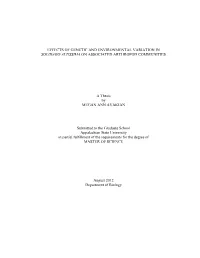 Effects of Genetic and Environmental Variation in Solidago Altissima on Associated Arthropod Communities