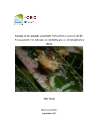 Grazing on the Epiphytic Community of Posidonia Oceanica (L.)Delile: an Assessment of Its Relevance As a Buffering Process of Eutrophication Effects