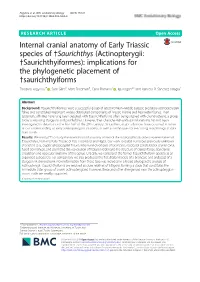 Internal Cranial Anatomy of Early Triassic Species of †Saurichthys