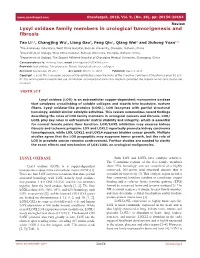 Lysyl Oxidase Family Members in Urological Tumorigenesis and Fibrosis