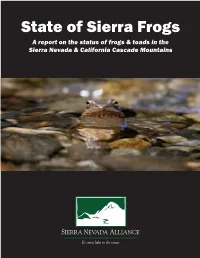 State of Sierra Frogs