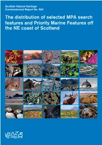 The Distribution of Selected MPA Search Features and Priority Marine Features Off the NE Coast of Scotland