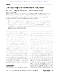 Genotype Imputation Via Matrix Completion