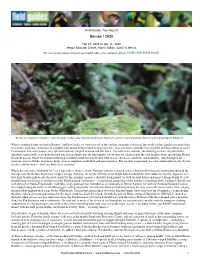 Printable PDF Format