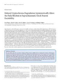 Delayed Cryptochrome Degradation Asymmetrically Alters the Daily Rhythm in Suprachiasmatic Clock Neuron Excitability