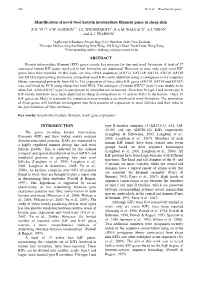 Identification of Novel Wool Keratin Intermediate Filament Genes in Sheep Skin Z-D