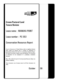 Manuka Point