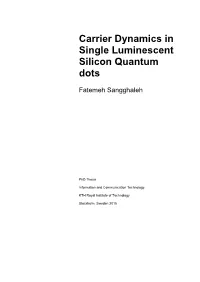 Carrier Dynamics in Single Luminescent Silicon Quantum Dots
