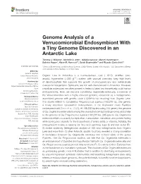 Genome Analysis of a Verrucomicrobial Endosymbiont with a Tiny Genome Discovered in an Antarctic Lake