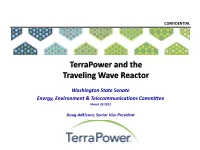 Terrapower and the Traveling Wave Reactor