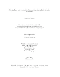 Morphology and Dynamics of Storm-Time Ionospheric Density Structures