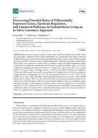 Uncovering Potential Roles of Differentially Expressed Genes
