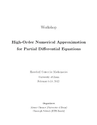 Workshop High-Order Numerical Approximation for Partial Differential Equations
