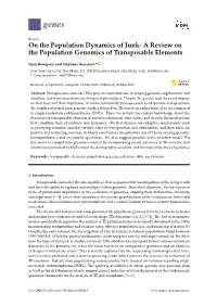 A Review on the Population Genomics of Transposable Elements