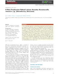 Amoebozoa, Discosea)