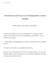Architecture and Function of Metallopeptidase Catalytic Domains