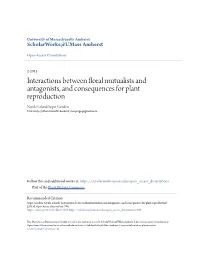 Interactions Between Floral Mutualists and Antagonists, And