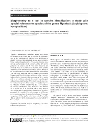 Morphometry As a Tool in Species Identification: a Study with Special Reference to Species of the Genus Mycalesis (Lepidoptera: Nymphalidae)