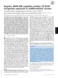 Negative MAPK-ERK Regulation Sustains CIC-DUX4 Oncoprotein Expression in Undifferentiated Sarcoma