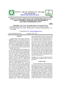 SOME ECOLOGICAL ASPECTS on the STRIPED MEALYBUG Ferrisia