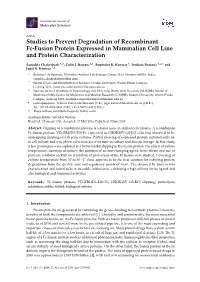 Studies to Prevent Degradation of Recombinant Fc-Fusion Protein Expressed in Mammalian Cell Line and Protein Characterization