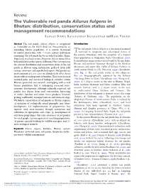 The Vulnerable Red Panda Ailurus Fulgens in Bhutan: Distribution, Conservation Status and Management Recommendations