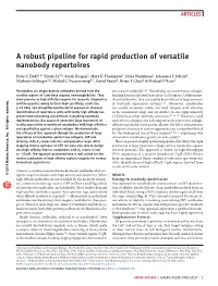A Robust Pipeline for Rapid Production of Versatile Nanobody Repertoires