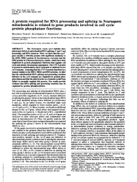 A Protein Required for RNA Processing and Splicing in Neurospora