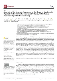 Analysis of the Immune Responses in the Ileum of Gnotobiotic Pigs Infected with the Recombinant GII.P12 GII.3 Human Norovirus by Mrna Sequencing