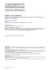 Death in the Shallows the Record of Permo-Triassic Mass Extinction In