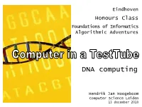 DNA Computers