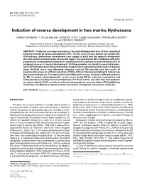 Induction of Reverse Development in Two Marine Hydrozoans