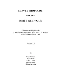 Red Tree Vole