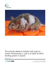 The Juvenile Alopecia Mutation (Jal) Maps to Mouse Chromosome 2, and Is an Allele of GATA Binding Protein 3 (Gata3) Ramirez Et Al
