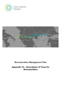 Biorestoration Management Plan Appendix 10 – Description of Trees