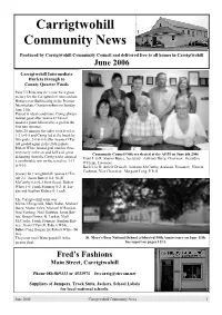 Carrig Nxletter June 2006.Pub