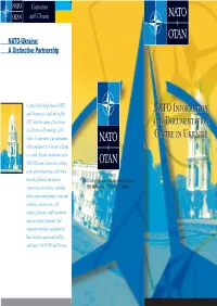 Nato Information and Documentation Centre In