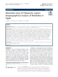 Mantodea Oasis of Palaearctic Region: Biogeographical Analysis of Mantodea in Egypt M
