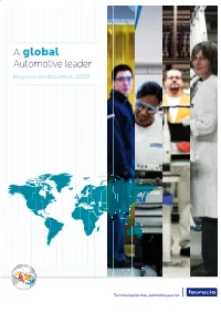 2009 Registration Document
