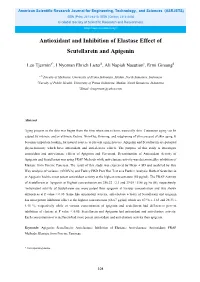 Antioxidant and Inhibition of Elastase Effect of Scutellarein and Apigenin