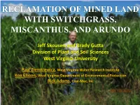 Reclamation of Mined Land with Switchgrass, Miscanthus, and Arundo