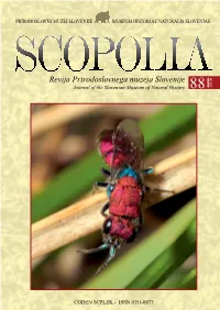 Scopolia 88.Pdf